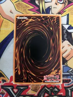 Snake Fang mrl-e050 1st Edition (MINT/NM+) Common Yu-Gi-Oh! - Image 2