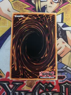 Turtle Oath mrl-e066 1st Edition (NM) Common Yu-Gi-Oh! - Image 4