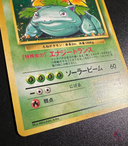 Venusaur (No.003) Base Set 1996 - Japanese Pokemon Card | HOLO PLAYED - Image 3