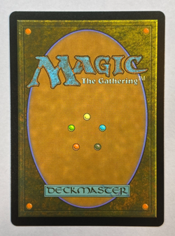 MTG - Secret Lair - Sonic: Friends & Foes - Shadow the Hedgehog - NM - Image 2