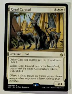 Regal Caracal Amonkhet - MTG RARE - Image 1
