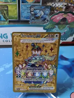 Terapagos ex 173/142 Pokemon TCG Scarlet & Violet Stellar Crown Hyper Rare NM - Image 1