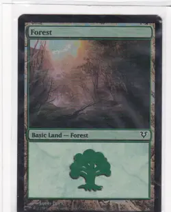 MTG: Avacyn Restored: Foil: Forest #242 - Image 1