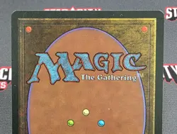 MTG Tormod's Crypt- Signed Christopher Rush -The Dark Magic Card # 112 - Image 5