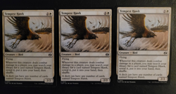 Tempest Hawk Tarkir: Dragonstorm Regular X3 - Image 1