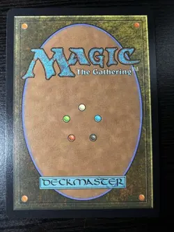 Traveling Chocobo (Borderless) (Chocobo Track Foil) MTG Magic Final Fantasy NEW - Image 2