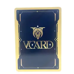 VCard Awakened Worlds 1st Edition Bibimbap Secret Rare Support Card Holo 253/250 - Image 2