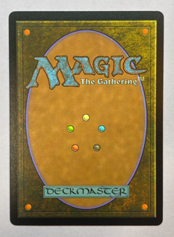 MTG - Secret Lair - Sonic: Friends & Foes - Shadow the Hedgehog - FOIL - Image 2