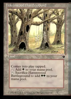 Fallen Empires Havenwood Battleground - Image 1