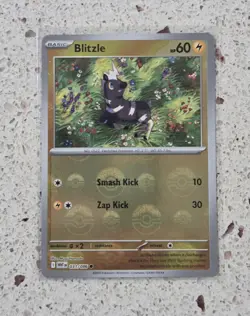 Blitzle - 031/086 - Pokeball Holo - White Flare - Pokemon Card - NM/M - Image 1