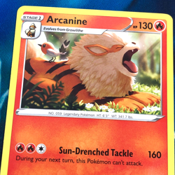 Arcanine - SWSH304 - Illustration Contest Promo Rare - Pokemon Card - NM - Image 2
