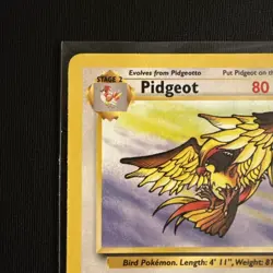Pidgeot 24/64 Jungle Rare Non-Holo Vintage Pokemon TCG Card NM - Image 2