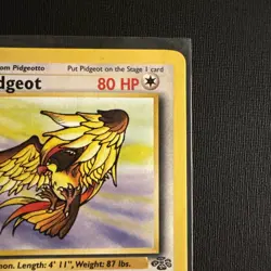 Pidgeot 24/64 Jungle Rare Non-Holo Vintage Pokemon TCG Card NM - Image 3