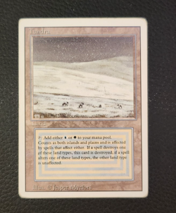 MTG TUNDRA Revised HP Magic The Gathering - Image 1