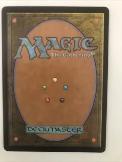 Shifting Woodland Borderless MTG Modern Horizon 3 NM #357 - Image 2