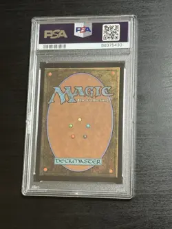 PSA 9 Plains #101 Secret Lair Drop Magic the Gathering x Bob Ross - Image 2