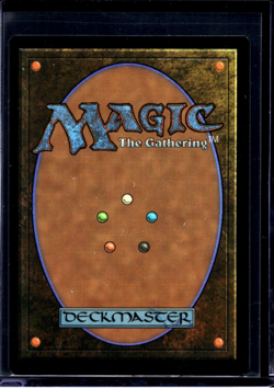 2021 MTG Magic The Gathering SLD Secret Lair Borderless #316 Fleet Swallower - Image 2