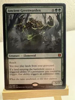 Magic The Gathering: Ancient Greenwarden. Regular. NM - Image 1