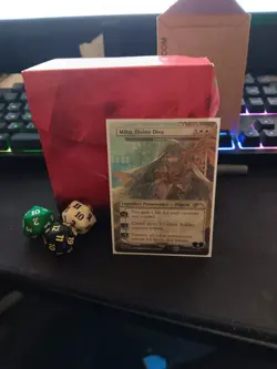 Magic the Gathering Personal Collection - Image 1