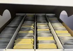 5000+ Pokemon Card Bulk Lot | Common/Uncommon/ | NM | UNSEARCHED - Image 1