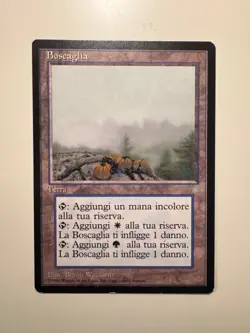 Magic MTG • Boscaglia (Brushland) • Ice Age • R • ITA • LP - Image 1
