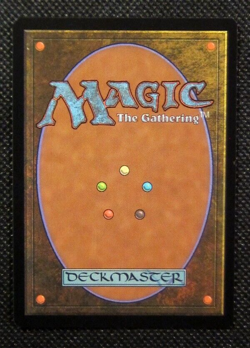 MTG ETCHED SNAKESKIN VEIL JAPANESE Strixhaven Mystical Archives - Image 2