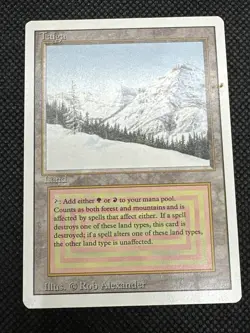 Taiga Revised Edition Regular - Image 2