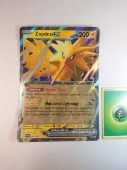 Zapdos ex 049 Jumbo Cards Holo for sale online - Image 1