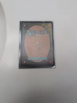 Windswept Heath - Foil English MTG Zendikar Expeditions - Image 2