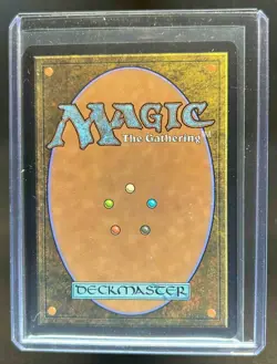 2025 Magic: The Gathering Avatar The Last Airbender Agna Qel'a Foil Land R #264 - Image 2
