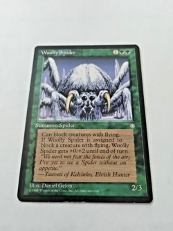MTG Woolly Spider Ice Age Regular Common - Edge wear - See pics - Image 1
