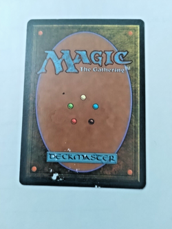 MTG Woolly Spider Ice Age Regular Common - Edge wear - See pics - Image 2