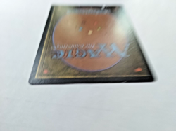 MTG Woolly Spider Ice Age Regular Common - Edge wear - See pics - Image 4