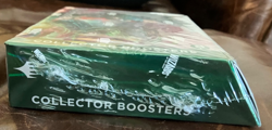 MTG Bloomburrow - Collector Booster Box | Sealed | BLB | Magic the Gathering - Image 3