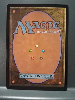 The Walls of Ba Sing Se Regular NM MTG - Image 2