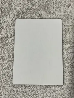 Misty Rainforest Zendikar Rising Expeditions Artist Proof - Image 2