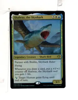 MTG SkeenAB Shabraz the Skyshark FOIL from C20. NM. - Image 1
