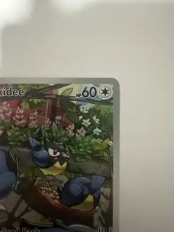 Rookidee - 225/193 - Pokemon Paldea Evolved Illustration Rare Card NM - Image 3