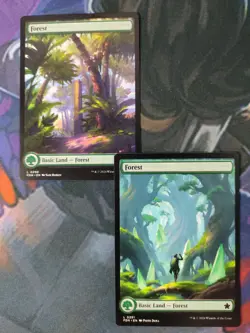 Borderless Basic Land Set of 40 - 4 of Each Art/Type | Foundations | NM | MTG - Image 2