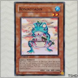 Ronintoadin - TSHD-EN033 - Common 1st Edition Yugioh - Image 1