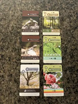 Earth Board Game Promo Card Set of 6 Inside Up Games New - Image 2