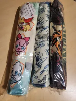 Pokemon World Championships 2025 Anaheim Set Of 3 Playmat & Playmat Bag In Hand - Image 1