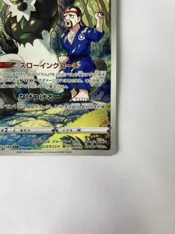 Pokemon Card Japanese Passimian s8b 203/184 CHR VMAX Climax MINT HOLO - Image 5