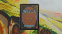 Vivi Ornitier (Borderless) (Chocobo Track Foil) Final Fantasy Foil - Image 2