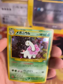 Pokemon Karte Card Meganie Meganium Neo Genesis Promo Holo Wotc japanese NM- - Image 5