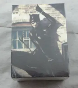 Dragon Shields Catwoman Brushed Art Standard Card Sleeves (100pcs) ATM16069 - Image 1