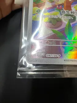 Pokemon Chinese TCG PR-ZLMW Bulbasaur SV-P-097/SV-P Promo Near Mint - Image 3