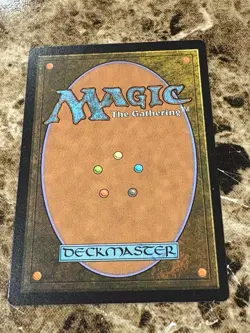 TENDER WILDGUIDE Magic MTG Bloomburrow Borderless - Image 2