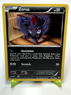 Pokemon Zorua 69/108 Dark Explorers Common NM Condition - Image 1