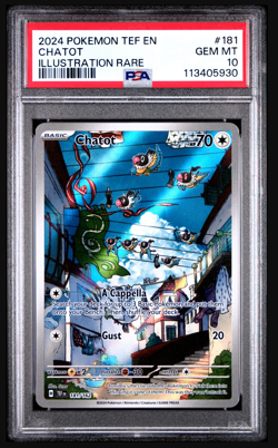 Pokemon PSA 10 Chatot 181/162 Illustration Rare Temporal Forces Holo - Image 1